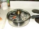 Cat in Pan