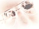 iSight + DotMatrix app