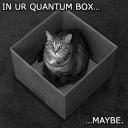 LOLCATS - Schrodingerâ€™s Cat