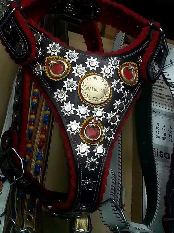 yilmaz_askan_04