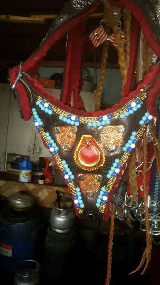 yilmaz_askan_13